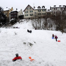 DSCN5542_JPG-1358890725