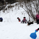 DSCN5575_JPG-1358890754