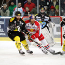 GEPA-22011370019.JPG