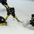 normal_22012013fmt_rbsdec_ta_026.JPG