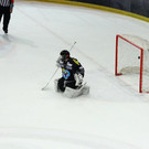 normal_22012013fmt_rbsdec_ta_033.JPG