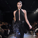 IBD1550-20130122.jpg