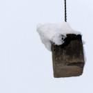 DSCN5659_JPG-1358980129