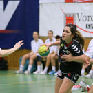 IMG_2832_jpg-1359021435