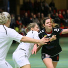 IMG_2881_jpg-1359021517