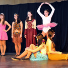 Seniorenball H__chst 20-01-2013 173_jpg-1359138165