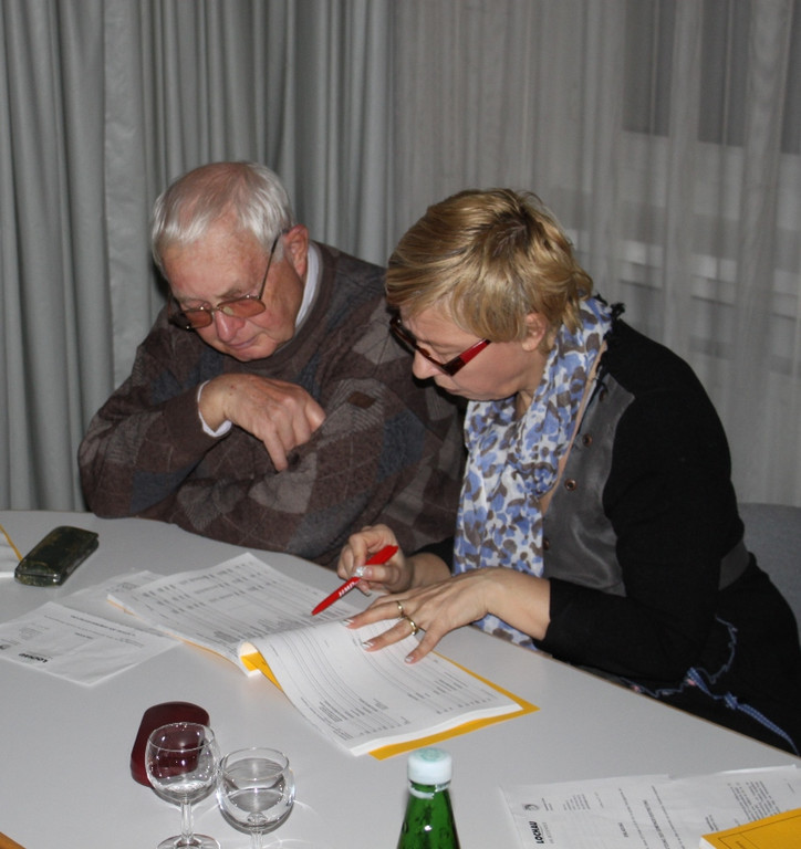 GV Sitzung BUDGET 2013 _10__jpg-1359189679