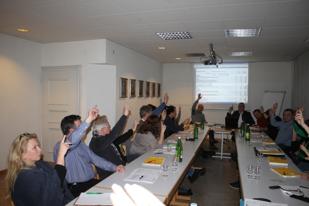 GV Sitzung BUDGET 2013 _21__jpg-1359189724