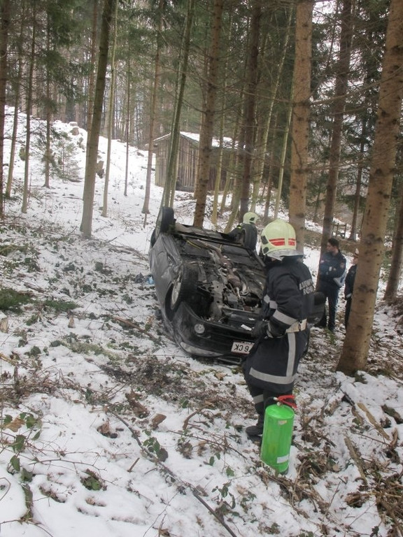 roethis20130125024846_jpg-1359209102