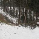 roethis20130125024854_jpg-1359209112