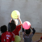 IMG_3093_jpg-1359216300
