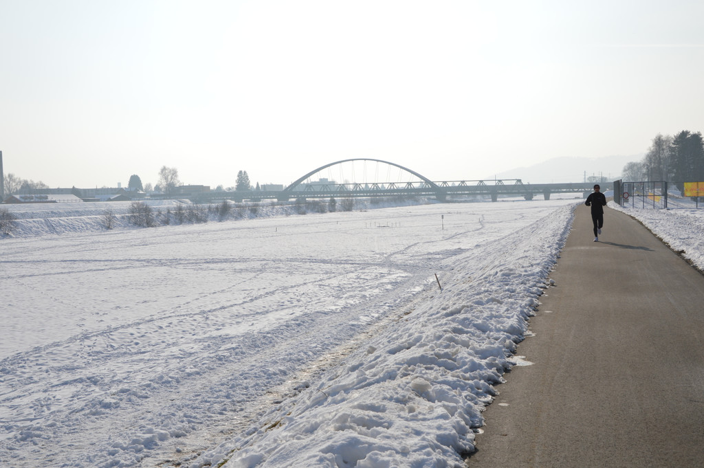 Rheinbr__cke 016 - Kopie_JPG-1359213836