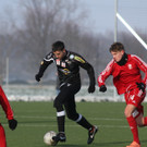 IMG_3396_jpg-1359234183