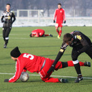 IMG_3604_jpg-1359234404