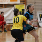 IMG_3655_jpg-1359277285