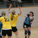 IMG_3856_jpg-1359277686