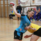 IMG_3896_jpg-1359277979