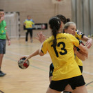 IMG_3905_jpg-1359277996