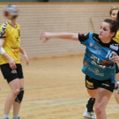 IMG_3917_jpg-1359278076