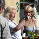Gemüse im Hausgarten
