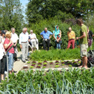 Gruppe_bei_Fruchtwechsel_JPG-1359281487