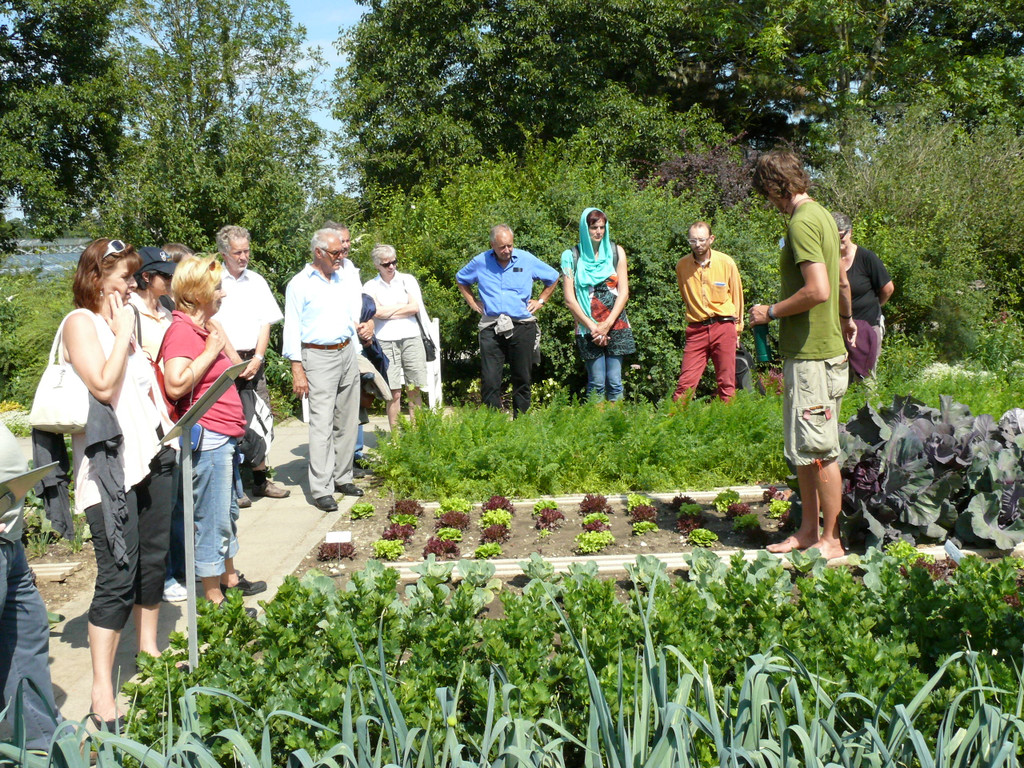 Gruppe_bei_Fruchtwechsel_JPG-1359281487