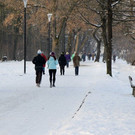 normal_26012013fmt_winterimpressionen_mw-17.jpg