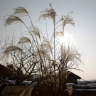 normal_26012013fmt_winterimpressionen_mw-2.jpg