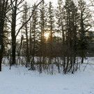 normal_26012013fmt_winterimpressionen_mw-21.jpg
