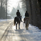 normal_26012013fmt_winterimpressionen_mw-5.jpg