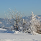 26012013gaisbergat_05_009aktivnews_55.jpg