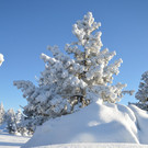 26012013gaisbergat_05_009aktivnews_41.jpg