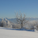 26012013gaisbergat_05_009aktivnews_45.jpg