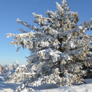 26012013gaisbergat_05_009aktivnews_42.jpg