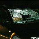 normal_16022010vumondseeffaktivnews_12.jpg