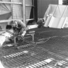 Stellafeld_0003_jpg-1359291976