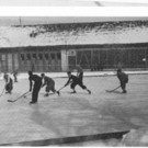 Stellafeld_0008_jpg-1359292040