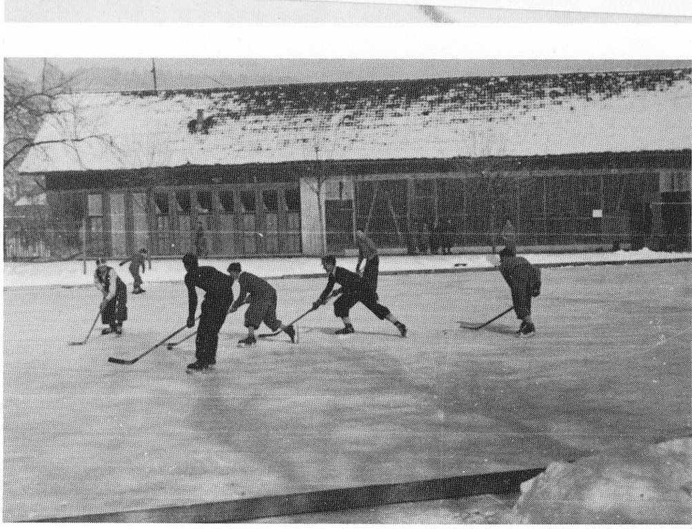 Stellafeld_0008_jpg-1359292040