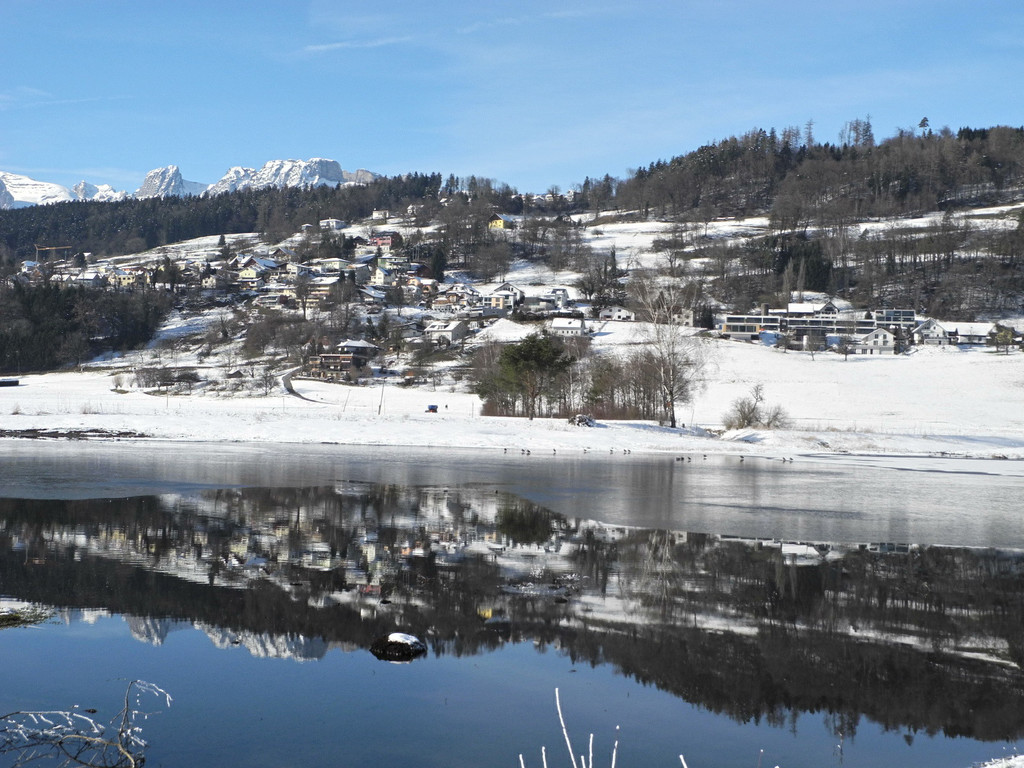 DSCN9869_JPG-1359293384