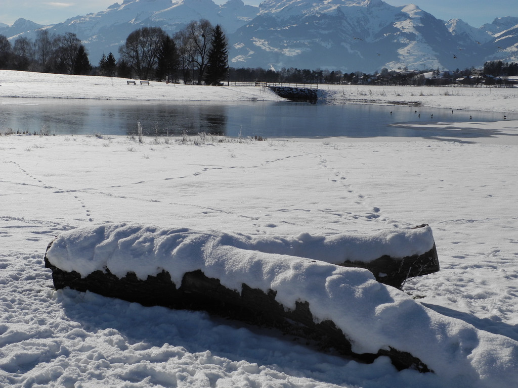 DSCN9863_JPG-1359293254