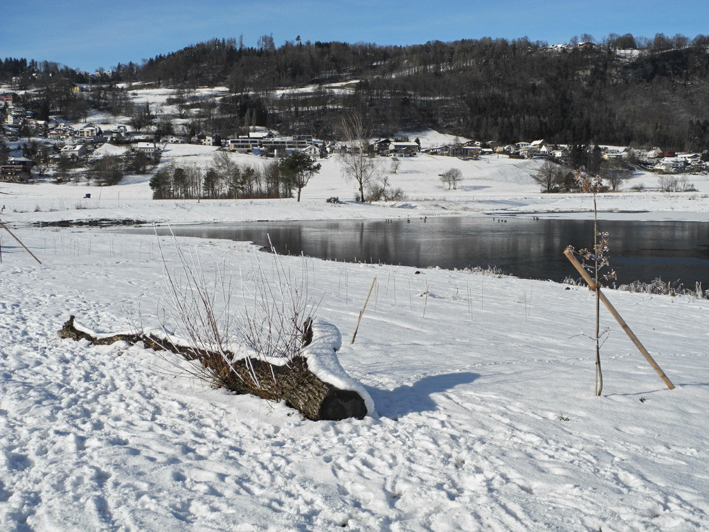 DSCN9874_JPG-1359293489