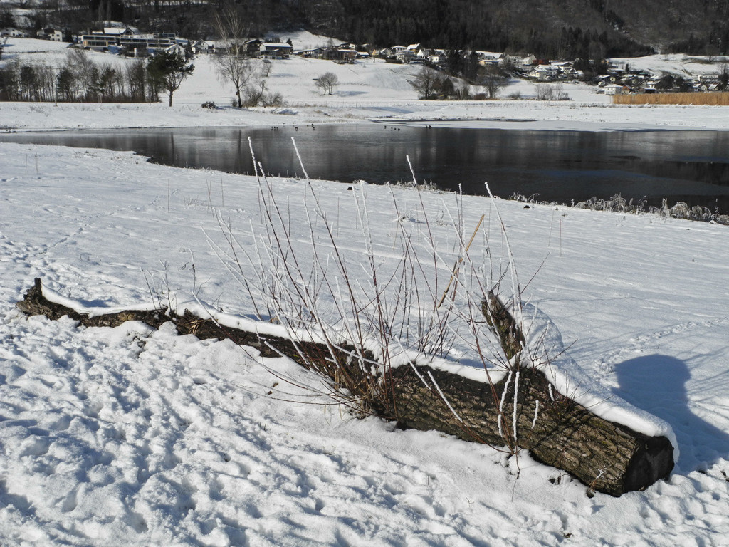 DSCN9875_JPG-1359293522