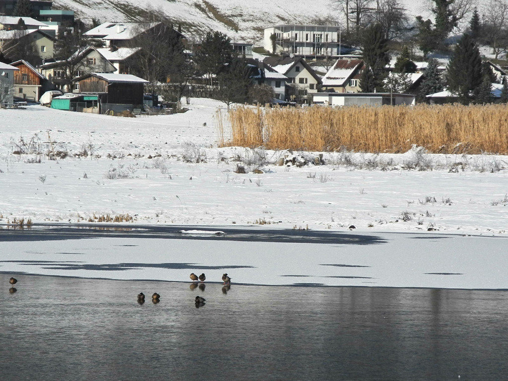 DSCN9876_JPG-1359293542