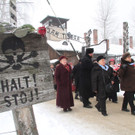 IBD0614-20130127.jpg