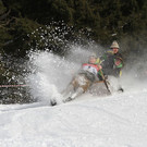 normal_27012013fmt_hornerschlitten_fm_13.JPG