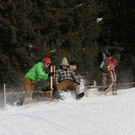 normal_27012013fmt_hornerschlitten_fm_23.JPG