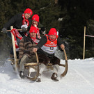 normal_27012013fmt_hornerschlitten_fm_24.JPG