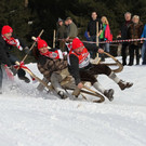 normal_27012013fmt_hornerschlitten_fm_25.JPG