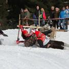 normal_27012013fmt_hornerschlitten_fm_26.JPG