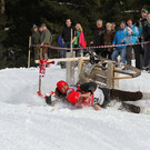 normal_27012013fmt_hornerschlitten_fm_27.JPG